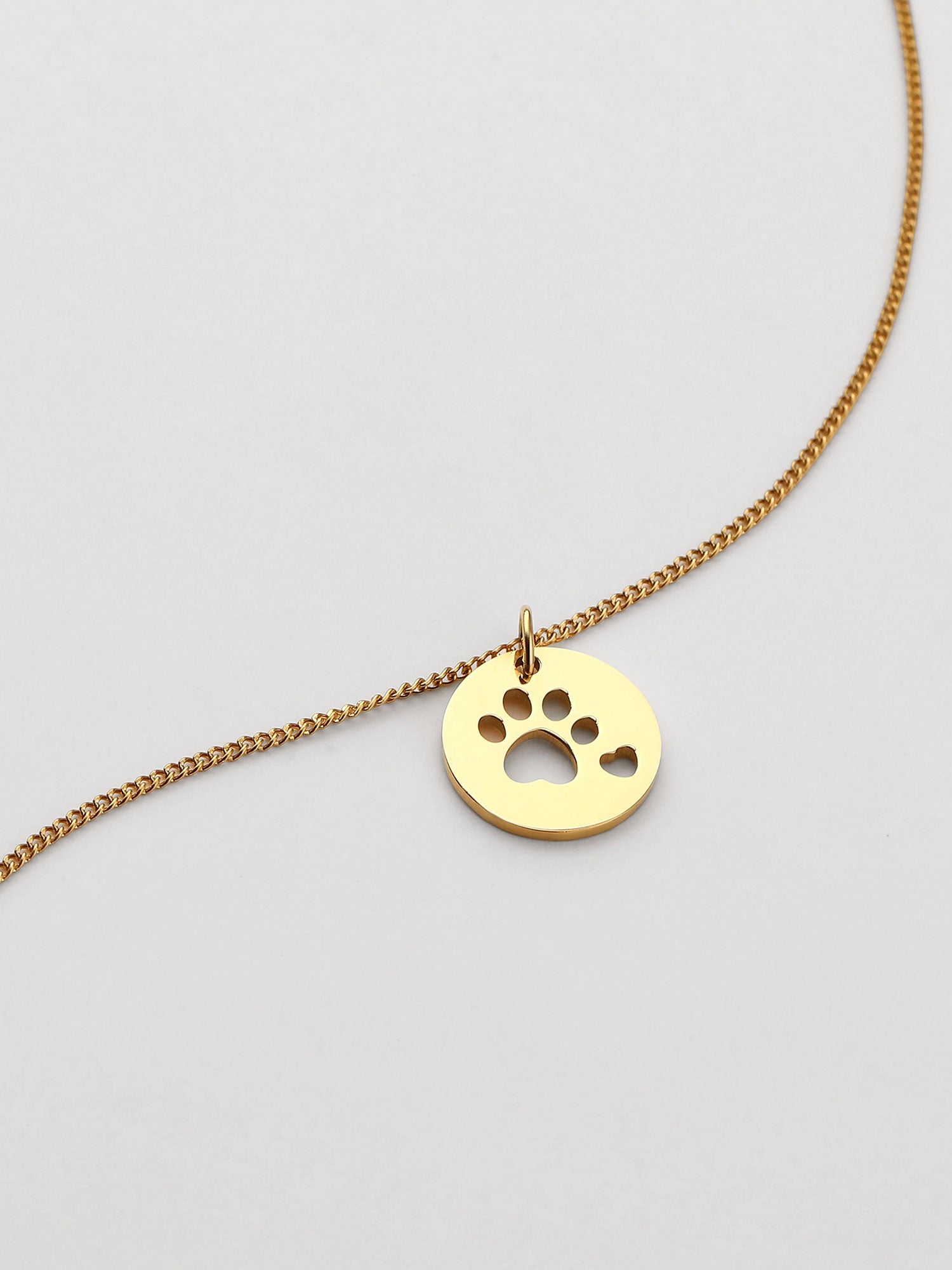 Colar pata de cão Dourado