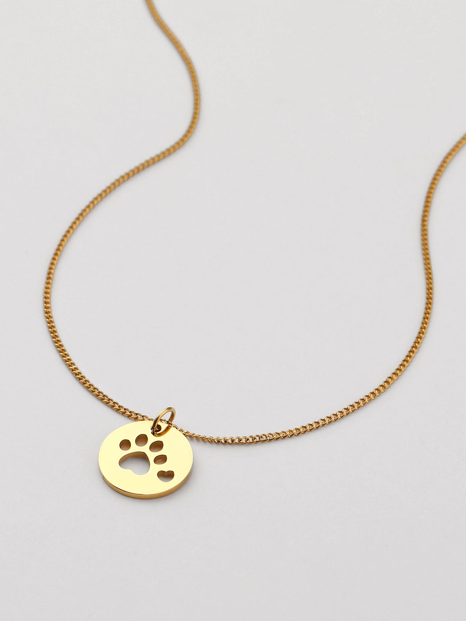 Colar pata de cão Dourado