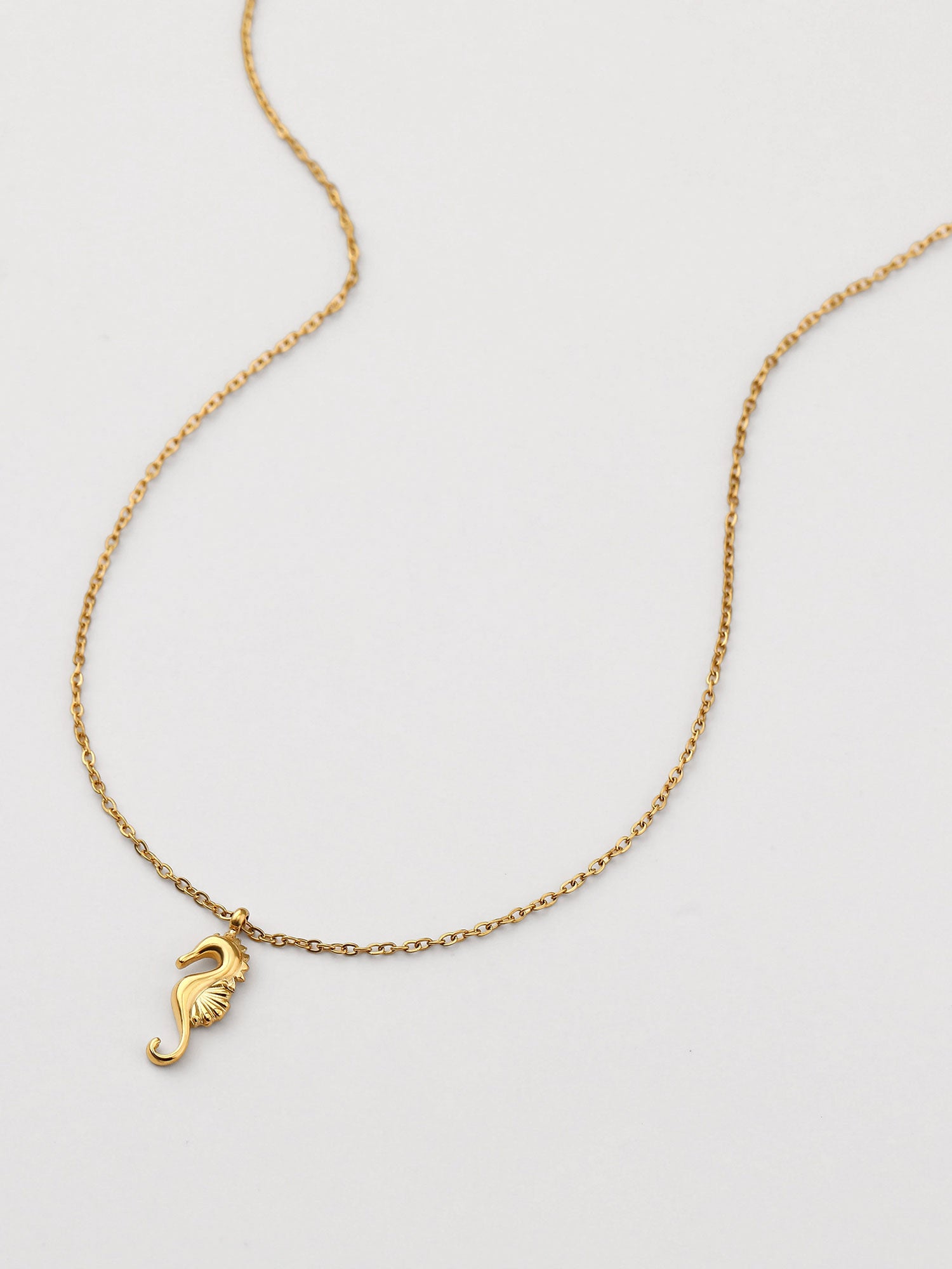 Colar cavalo-marinho Dourado